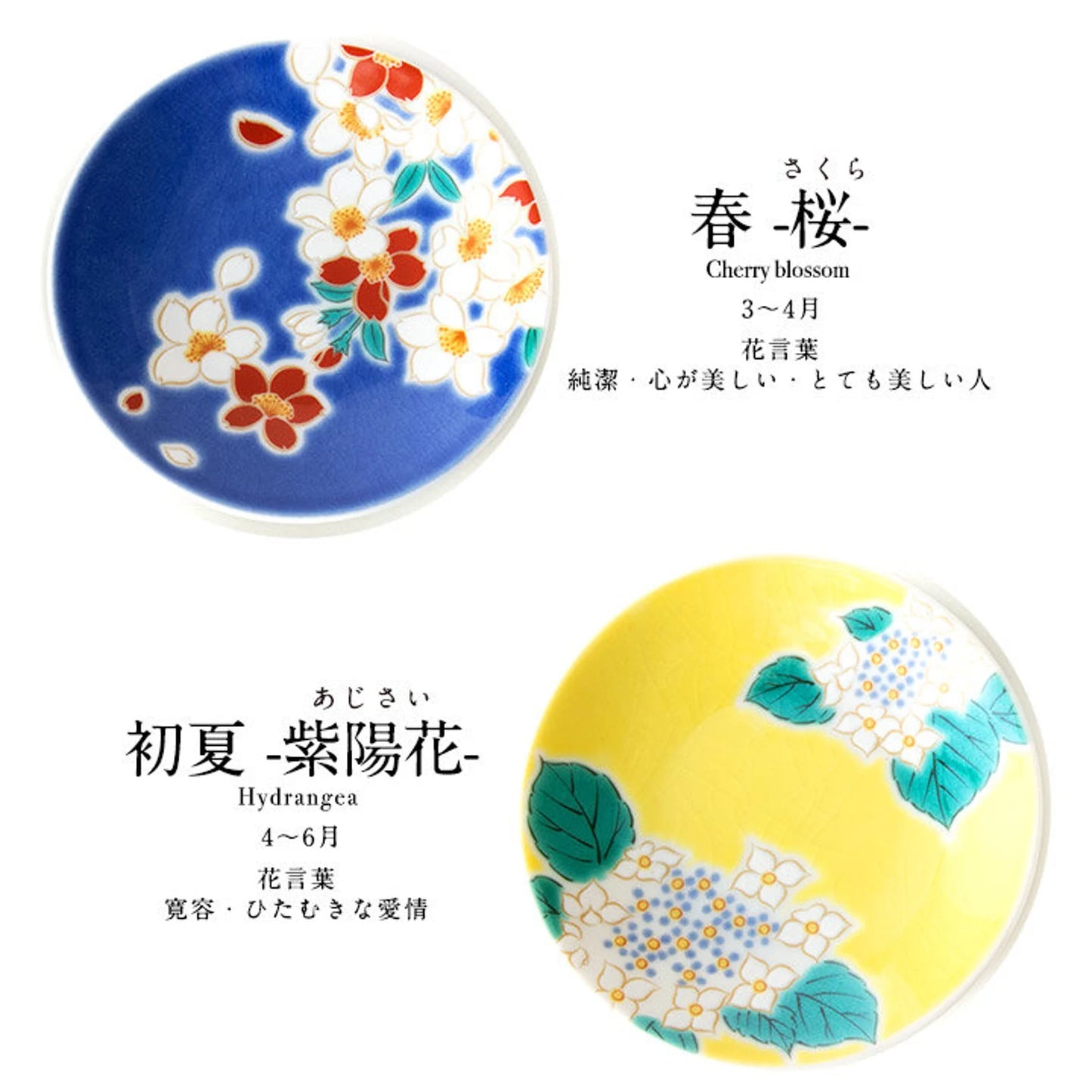 Two ceramic plates with floral designs for Cherry blossoms and Hydrangea on a white background