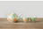 Arita Ware Tea Set - Pastel Sasanqua Camellia Design