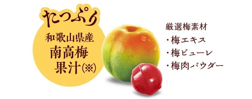 Lotte Koume Plum Candy – Made with Wakayama Nanko Ume Extract (80g)