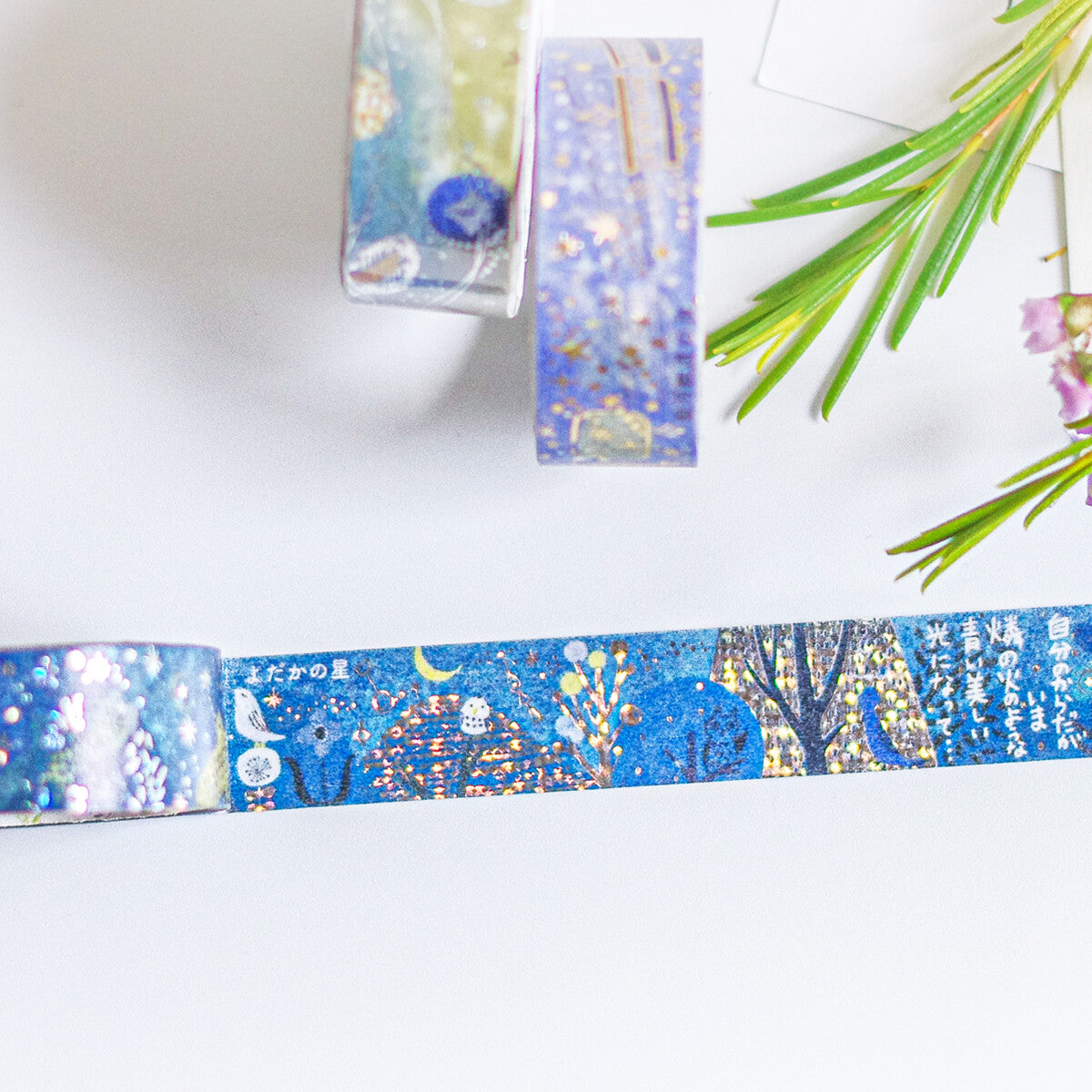 SEAL-DO Kenji Miyazawa Gentoukan Cat Hologram Foil Washi Tape – Full Collection Overview