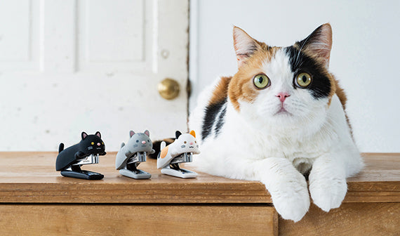 MAX Neko cat stapler lifestyle photo on desk